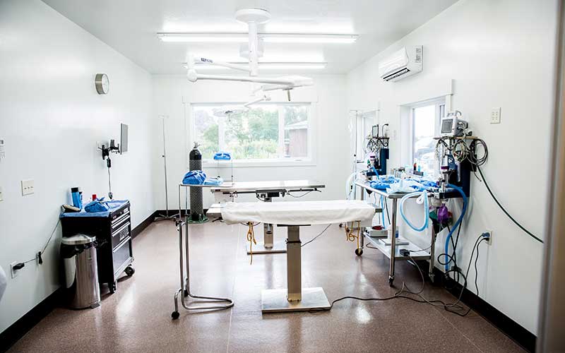 empty veterinary surgical room at Headwaters Veterinary Hospital
