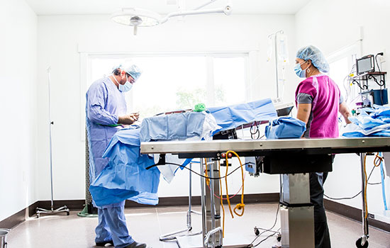 Dr. Kelly Hall performing surgery on a dog in the sterile surgical center at Headwaters Veterinary Hospital