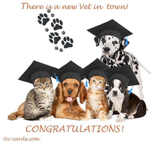 petgrad